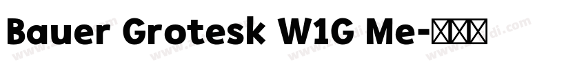 Bauer Grotesk W1G Me字体转换